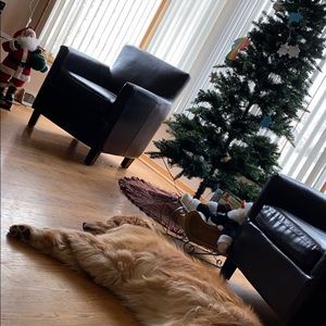 Meet your Posher, Morgan